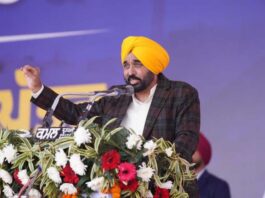 ਭਗਵੰਤ ਮਾਨ ਸਰਕਾਰ ਨੇ ਨਵਾਂ ਮਾਪਦੰਡ ਕੀਤਾ ਸਥਾਪਤ, 16 ਮਾਰਚ, 2022 ਤੋਂ ਔਸਤਨ ਰੋਜ਼ਾਨਾ 45 ਨੌਜਵਾਨਾਂ ਨੂੰ ਸਰਕਾਰੀ ਨੌਕਰੀਆਂ ਪ੍ਰਦਾਨ ਕੀਤੀਆਂ