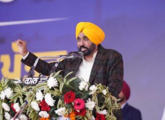 ਭਗਵੰਤ ਮਾਨ ਸਰਕਾਰ ਨੇ ਨਵਾਂ ਮਾਪਦੰਡ ਕੀਤਾ ਸਥਾਪਤ, 16 ਮਾਰਚ, 2022 ਤੋਂ ਔਸਤਨ ਰੋਜ਼ਾਨਾ 45 ਨੌਜਵਾਨਾਂ ਨੂੰ ਸਰਕਾਰੀ ਨੌਕਰੀਆਂ ਪ੍ਰਦਾਨ ਕੀਤੀਆਂ