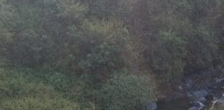 Breaking News: ਹਿਮਾਚਲ ਰੋਡਵੇਜ਼ ਦੀ ਬੱਸ ਖਾਈ ’ਚ ਡਿੱਗੀ: 3 ਸਵਾਰੀਆਂ ਦੀ ਮੌਤ ਤੇ ਦਰਜਨਾਂ ਜ਼ਖ਼ਮੀ, ਰਾਹਤ ਕਾਰਜ ਜਾਰੀ