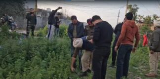 ਜਲੰਧਰ: ਕੁੱਤੇ ਦੇ ਮੂੰਹ ‘ਚ ਮਨੁੱਖੀ ਸਿਰ ਵਰਗਾ ਅੰਗ ਵੇਖ ਉੱਡੇ ਲੋਕਾਂ ਦੇ ਹੋਸ਼