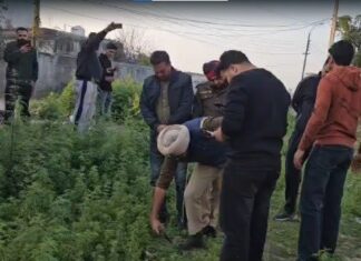 ਜਲੰਧਰ: ਕੁੱਤੇ ਦੇ ਮੂੰਹ ‘ਚ ਮਨੁੱਖੀ ਸਿਰ ਵਰਗਾ ਅੰਗ ਵੇਖ ਉੱਡੇ ਲੋਕਾਂ ਦੇ ਹੋਸ਼