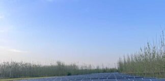 ਕੰਢੀ ਇਲਾਕਾ ਹੁਣ ਪਛੜਿਆ ਨਹੀਂ ਰਿਹਾ: ਭਗਵੰਤ ਮਾਨ ਸਰਕਾਰ ਨੇ ਨਹਿਰੀ ਪਾਣੀ ਉੱਚੇ ਇਲਾਕਿਆਂ ਤੱਕ ਪਹੁੰਚਾਇਆ