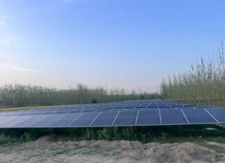 ਕੰਢੀ ਇਲਾਕਾ ਹੁਣ ਪਛੜਿਆ ਨਹੀਂ ਰਿਹਾ: ਭਗਵੰਤ ਮਾਨ ਸਰਕਾਰ ਨੇ ਨਹਿਰੀ ਪਾਣੀ ਉੱਚੇ ਇਲਾਕਿਆਂ ਤੱਕ ਪਹੁੰਚਾਇਆ