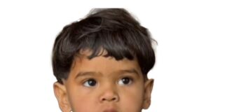 ਖੂਖਾਰ ਅਵਾਰਾ ਕੁੱਤਿਆਂ ਦੇ ਹਮਲੇ ਨਾਲ 2 ਸਾਲਾ ਬੱਚੇ ਦੀ ਮੌਤ