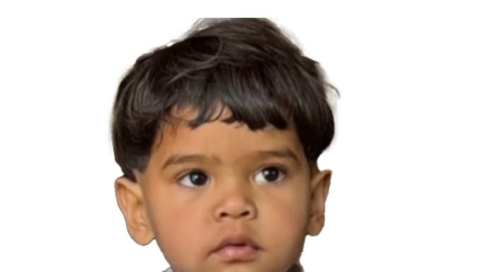 ਖੂਖਾਰ ਅਵਾਰਾ ਕੁੱਤਿਆਂ ਦੇ ਹਮਲੇ ਨਾਲ 2 ਸਾਲਾ ਬੱਚੇ ਦੀ ਮੌਤ