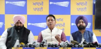 ਸੱਚ ਦੀ ਜਿੱਤ ਹੋਈ: ਭਾਜਪਾ ਨੂੰ ਅਰਵਿੰਦ ਕੇਜਰੀਵਾਲ ਵਿਰੁੱਧ ਸਾਜ਼ਿਸ਼ ਲਈ ਦੇਸ਼ ਤੋਂ ਮਾਫੀ ਮੰਗਣੀ ਚਾਹੀਦੀ ਹੈ: ਅਮਨ ਅਰੋੜਾ