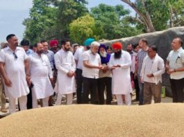 ਪੰਜਾਬ ਦੀਆਂ ਮੰਡੀਆਂ ‘ਚ 28 ਲੱਖ ਮੀਟਰਿਕ ਟਨ ਕਣਕ ਦੀ ਆਮਦ, 24 ਲੱਖ ਮੀਟਰਿਕ ਟਨ ਤੋਂ ਵੱਧ ਦੀ ਖ਼ਰੀਦ : ਲਾਲ ਚੰਦ ਕਟਾਰੂਚੱਕ