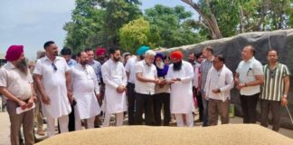 ਪੰਜਾਬ ਦੀਆਂ ਮੰਡੀਆਂ ‘ਚ 28 ਲੱਖ ਮੀਟਰਿਕ ਟਨ ਕਣਕ ਦੀ ਆਮਦ, 24 ਲੱਖ ਮੀਟਰਿਕ ਟਨ ਤੋਂ ਵੱਧ ਦੀ ਖ਼ਰੀਦ : ਲਾਲ ਚੰਦ ਕਟਾਰੂਚੱਕ