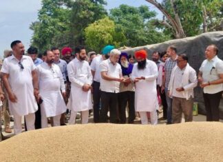 ਪੰਜਾਬ ਦੀਆਂ ਮੰਡੀਆਂ ‘ਚ 28 ਲੱਖ ਮੀਟਰਿਕ ਟਨ ਕਣਕ ਦੀ ਆਮਦ, 24 ਲੱਖ ਮੀਟਰਿਕ ਟਨ ਤੋਂ ਵੱਧ ਦੀ ਖ਼ਰੀਦ : ਲਾਲ ਚੰਦ ਕਟਾਰੂਚੱਕ