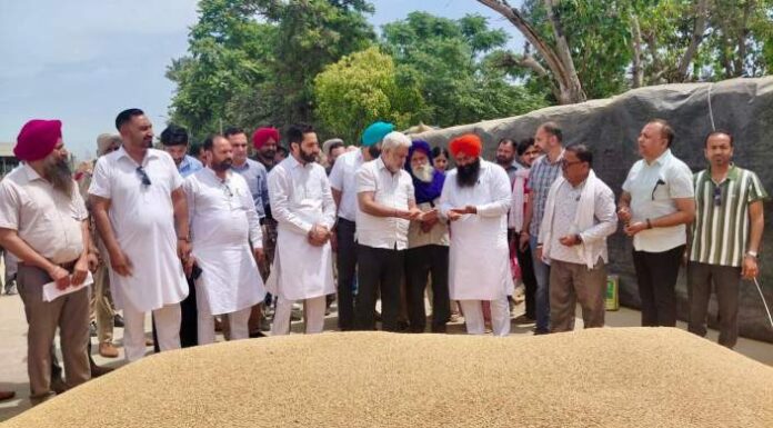 ਪੰਜਾਬ ਦੀਆਂ ਮੰਡੀਆਂ ‘ਚ 28 ਲੱਖ ਮੀਟਰਿਕ ਟਨ ਕਣਕ ਦੀ ਆਮਦ, 24 ਲੱਖ ਮੀਟਰਿਕ ਟਨ ਤੋਂ ਵੱਧ ਦੀ ਖ਼ਰੀਦ : ਲਾਲ ਚੰਦ ਕਟਾਰੂਚੱਕ