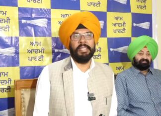 ਸ਼ਹੀਦਾਂ ਦੀ ਧਰਤੀ ਸੰਗਰੂਰ ਨੂੰ ‘ਸਿਉਂਕ’ ਕਹਿਣਾ ਬਾਜਵਾ ਦੀ ਘਟੀਆ ਮਾਨਸਿਕਤਾ ਦੀ ਉਪਜ: ਕੁਲਦੀਪ ਧਾਲੀਵਾਲ