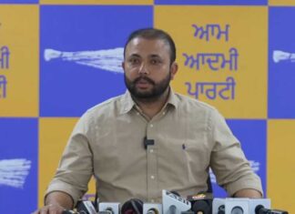 ਆਪ ਯੂਥ ਵਿੰਗ ‘ਸ਼ਾਨਦਾਰ 4 ਸਾਲ, ਭਗਵੰਤ ਮਾਨ ਦੇ ਨਾਲ’ ਮੁਹਿੰਮ ਨੂੰ ਹਰ ਪਿੰਡ ਅਤੇ ਵਾਰਡ ਤੱਕ ਲੈ ਕੇ ਜਾਵੇਗਾ: ਪਰਮਿੰਦਰ ਗੋਲਡੀ