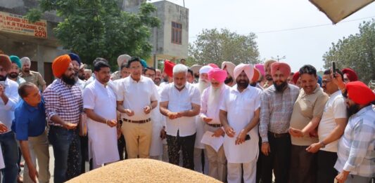 ਖ਼ੁਰਾਕ, ਸਿਵਲ ਸਪਲਾਈ ਤੇ ਖਪਤਕਾਰ ਮਾਮਲੇ ਮੰਤਰੀ ਲਾਲ ਚੰਦ ਕਟਾਰੂਚੱਕ ਨੇ ਭਗਤਾਂਵਾਲਾ ਦਾਣਾ ਮੰਡੀ ਵਿੱਚ ਕਣਕ ਦੀ ਚੱਲ ਰਹੀ ਖ਼ਰੀਦ ਦਾ ਜਾਇਜ਼ਾ ਲਿਆ