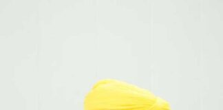 ਹਰਜੋਤ ਸਿੰਘ ਬੈਂਸ ਦੀ ਨਗਰ ਨਿਗਮ ਅਧਿਕਾਰੀਆਂ ਨੂੰ ਹਦਾਇਤ- ਲੁਧਿਆਣਾ ਸ਼ਹਿਰ ਨੂੰ 30 ਜੂਨ ਤੱਕ ਸੜਕਾਂ ਦੇ ਟੋਇਆਂ ਅਤੇ ਮੈਨਹੋਲ ਮੁਕਤ ਬਣਾਇਆ ਜਾਵੇ