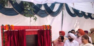ਪੰਜਾਬ ਸਰਕਾਰ ਵੱਲੋਂ ਕੰਮ-ਕਾਜੀ ਔਰਤਾਂ ਲਈ ਰਾਜ ਵਿੱਚ ਪੰਜ ਵਰਕਿੰਗ ਵਿਮੈਨ ਹੋਸਟਲ ਨਿਰਮਾਣ ਅਧੀਨ: ਡਾ. ਬਲਜੀਤ ਕੌਰ