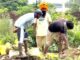 ਜਲੰਧਰ ‘ਚ ਨਹਿਰ ਦਾ ਬੰਨ੍ਹ ਟੁੱਟਿਆ, ਕਾਲੋਨੀਆਂ ਵੱਲ ਵੜਿਆ ਪਾਣੀ; ਰਾਹਤ ਕੰਮ ਜਾਰੀ