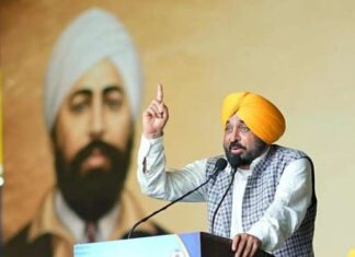 ਆਪ ਸਰਕਾਰ ਦੇਸ਼ ਲਈ ਮਹਾਨ ਕੁਰਬਾਨੀਆਂ ਦੇਣ ਵਾਲੇ ਆਜ਼ਾਦੀ ਘੁਲਾਟੀਆਂ ਦੇ ਸੁਪਨਿਆਂ ਨੂੰ ਸਾਕਾਰ ਕਰਨ ਲਈ ਪੂਰੀ ਤਰ੍ਹਾਂ ਵਚਨਬੱਧ: ਮੁੱਖ ਮੰਤਰੀ ਭਗਵੰਤ ਸਿੰਘ ਮਾਨ