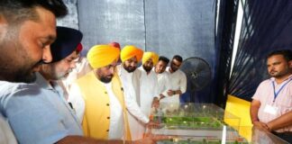 ਮੁੱਖ ਮੰਤਰੀ ਭਗਵੰਤ ਸਿੰਘ ਮਾਨ ਵੱਲੋਂ ਪਿੰਡਾਂ ਦੇ ਨੌਜਵਾਨਾਂ ਨੂੰ 500 ਆਧੁਨਿਕ ‘ਪੇਂਡੂ ਖੇਡ ਮੈਦਾਨਾਂ’ ਦਾ ਤੋਹਫ਼ਾ