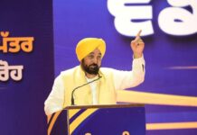 ਨਾ ਕੈਸ਼, ਨਾ ਫਰਮਾਇਸ਼: ਮੁੱਖ ਮੰਤਰੀ ਭਗਵੰਤ ਸਿੰਘ ਮਾਨ ਨੇ 866 ਨੌਜਵਾਨਾਂ ਨੂੰ ਸੌਂਪੇ ਸਰਕਾਰੀ ਨੌਕਰੀਆਂ ਦੇ ਨਿਯੁਕਤੀ ਪੱਤਰ