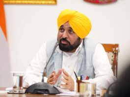 ਮੁੱਖ ਮੰਤਰੀ ਭਗਵੰਤ ਸਿੰਘ ਮਾਨ ਵੱਲੋਂ ਖੇਤੀਬਾੜੀ ਯੂਨੀਵਰਸਿਟੀ ਵਿਖੇ ਹੌਰਟੀਕਲਚਰ ਨਾਲਿਜ ਸੈਂਟਰ ਨੂੰ ਮਨਜ਼ੂਰੀ